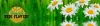 Medi-Flowery