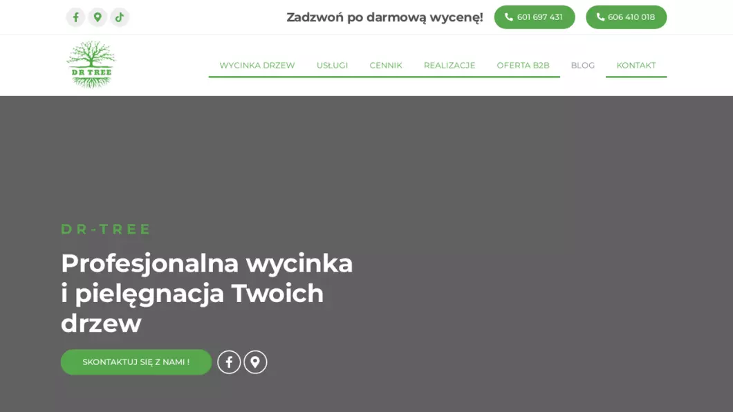 Wycinka, pielęgnacja drzew Kraków | Dr-tree